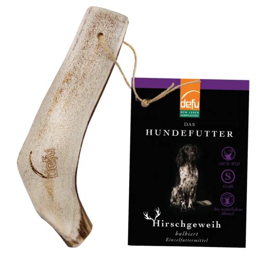 Hund: Hirschgeweih