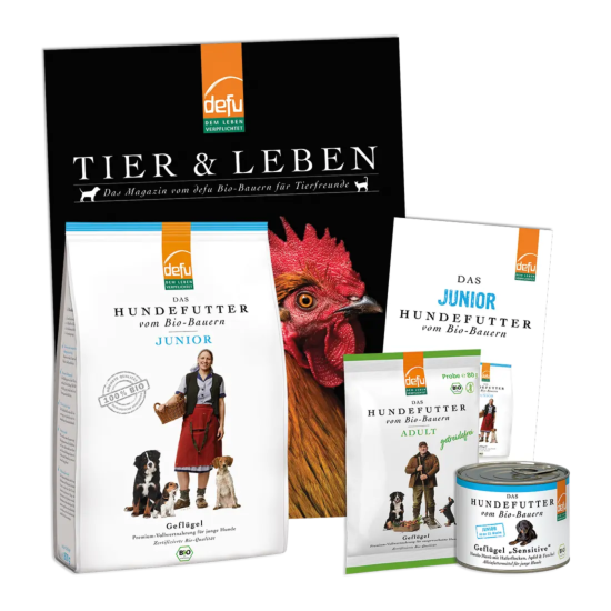 Hund: Probierpaket - Junior