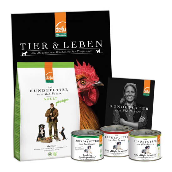 Hund: Probierpaket - Getreidefrei