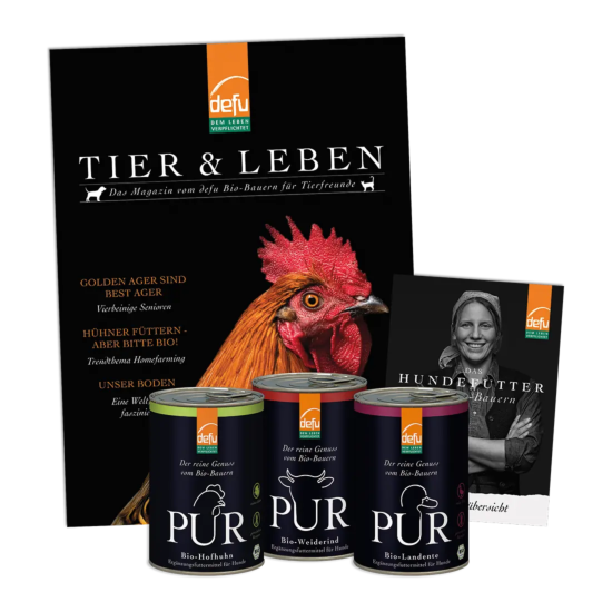 Hund: Probierpaket - PUR