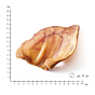 Hund: Bio-Schweineohren getrocknet