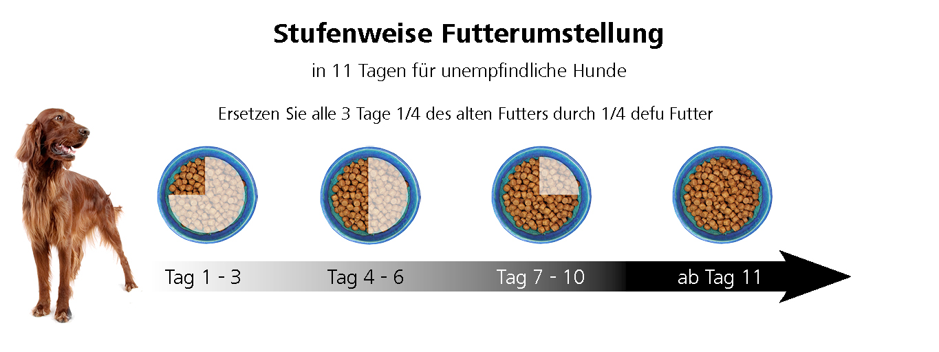 Link zu Anleitung zu Futterumstellung